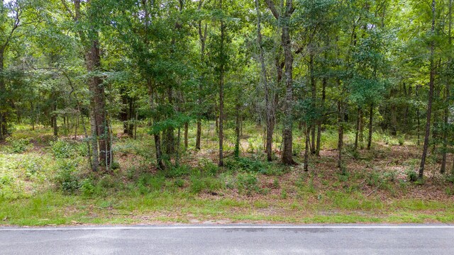 LOT10 Oakcrest Dr, Freeport, FL 32439 - photo 18