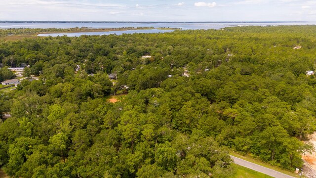 LOT10 Oakcrest Dr, Freeport, FL 32439 - photo 15
