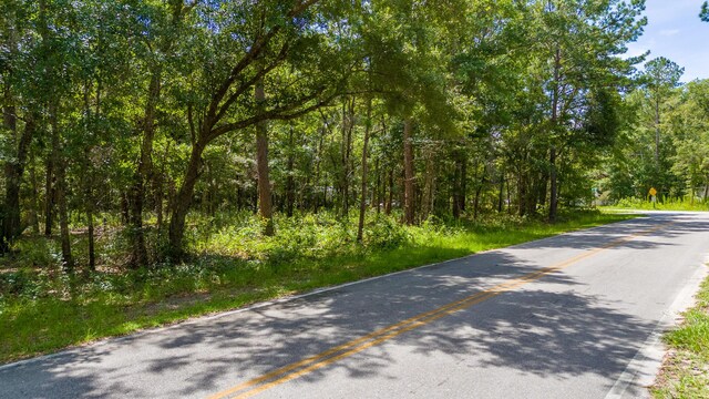 LOT10 Oakcrest Dr, Freeport, FL 32439 - photo 19