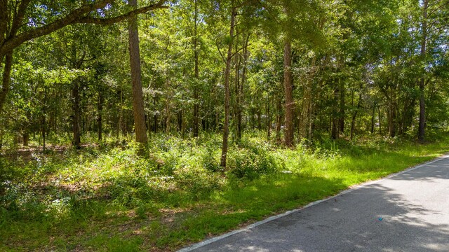 LOT10 Oakcrest Dr, Freeport, FL 32439 - photo 20