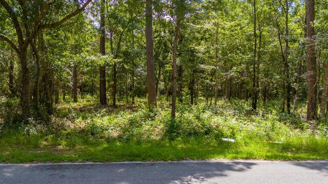 LOT10 Oakcrest Dr, Freeport, FL 32439 - photo 21
