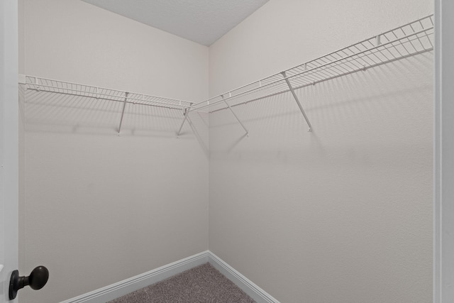 7478 Brevard St, Navarre, FL 32566 - spacious closet featuring carpet floors
