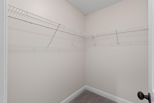 7478 Brevard St, Navarre, FL 32566 - walk in closet with dark colored carpet