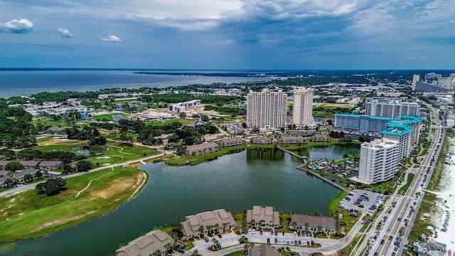 316 N Driftwood Bay Unit 45A, Miramar Beach, FL 32550 - photo 35