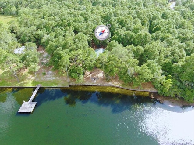 335 Franck Dr, Defuniak Springs, FL 32433 - photo 1