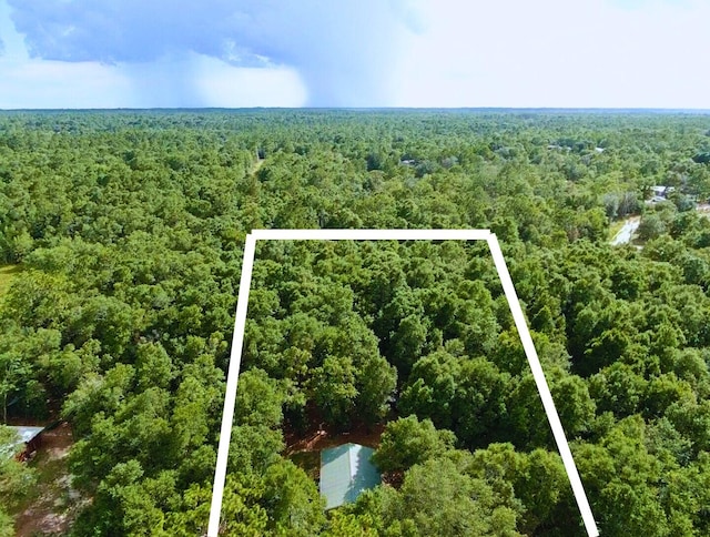 335 Franck Dr, Defuniak Springs, FL 32433 - photo 2