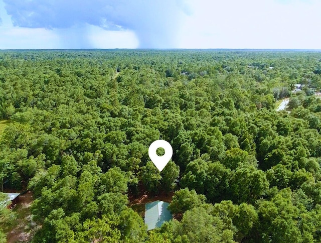 335 Franck Dr, Defuniak Springs, FL 32433 - photo 42