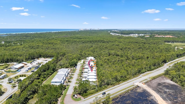 64 Herons Xing, Santa Rosa Beach, FL 32459 - photo 67