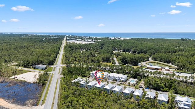 64 Herons Xing, Santa Rosa Beach, FL 32459 - photo 70