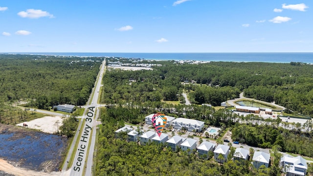 64 Herons Xing, Santa Rosa Beach, FL 32459 - photo 71