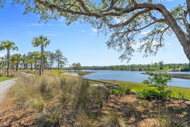 8546 Dreams Float Ct, Panama City Beach, FL 32413 - water view