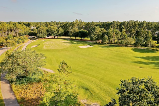129 Suwannee Dr, Inlet Beach, FL 32461 - photo 41