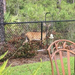 114 S Knightsbridge Ct, Santa Rosa Beach, FL 32459 - view of gate