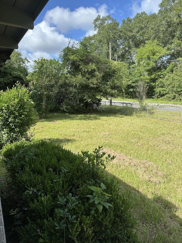 308 S Depot St, Bonifay, FL 32425 - view of green lawn