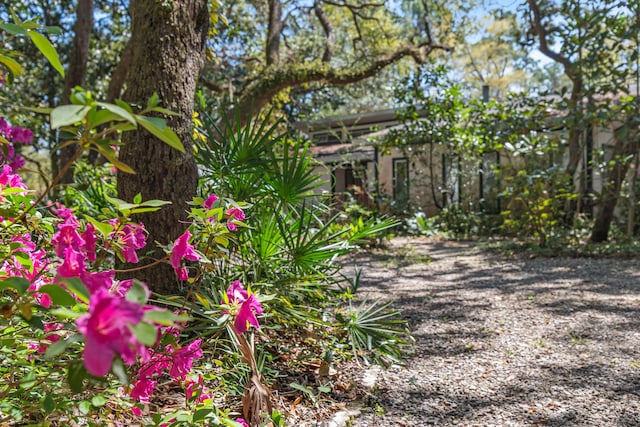 20 Adair Ln, Santa Rosa Beach, FL 32459 - view of yard