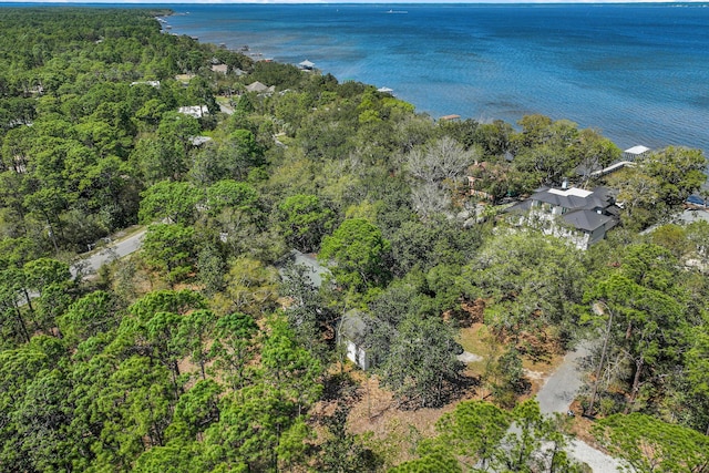 20 Adair Ln, Santa Rosa Beach, FL 32459 - drone / aerial view of a large body of water and a heavily wooded area