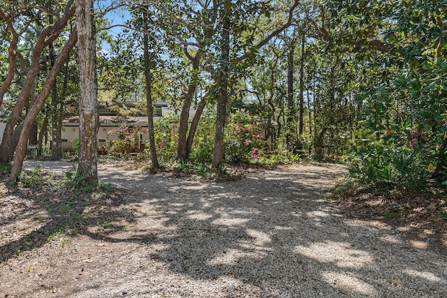 20 Adair Ln, Santa Rosa Beach, FL 32459 - view of dirt / gravel driveway