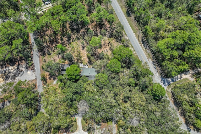 20 Adair Ln, Santa Rosa Beach, FL 32459 - drone / aerial view