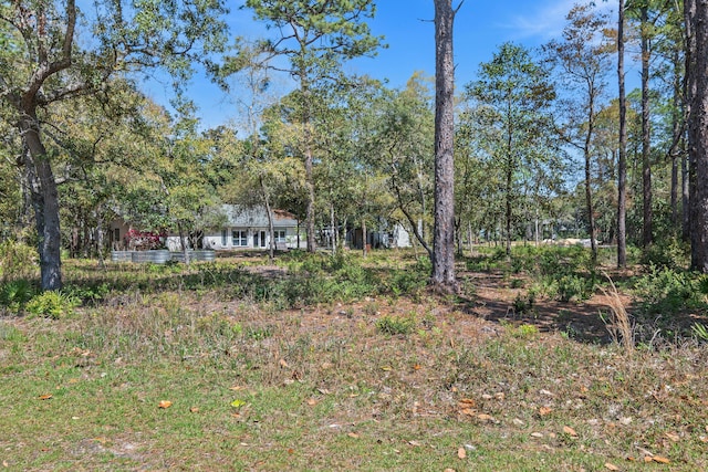 20 Adair Ln, Santa Rosa Beach, FL 32459 - view of yard