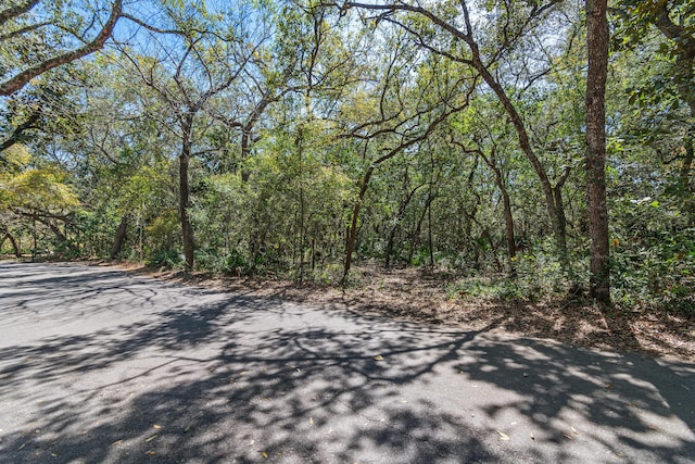 20 Adair Ln, Santa Rosa Beach, FL 32459 - view of road with a forest view