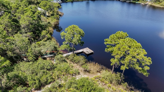 34 Herons Watch Way Unit 1202, Santa Rosa Beach, FL 32459 - drone / aerial view of a large body of water