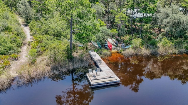 34 Herons Watch Way Unit 1202, Santa Rosa Beach, FL 32459 - dock with a water view and a view of trees