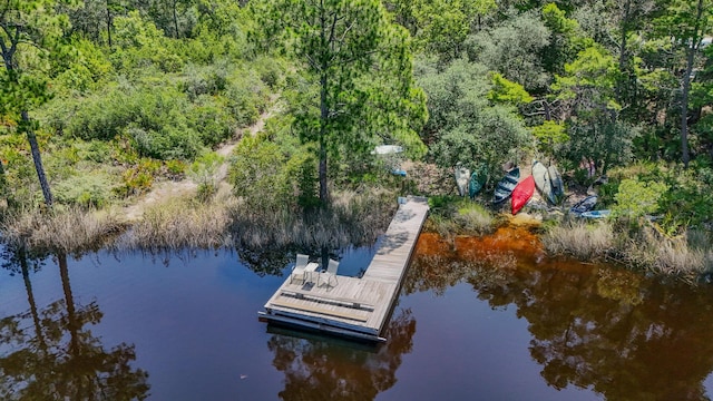 34 Herons Watch Way Unit 1202, Santa Rosa Beach, FL 32459 - dock area featuring a view of trees and a water view