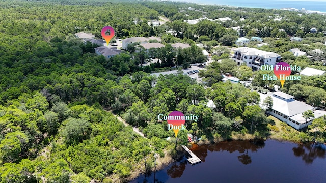 34 Herons Watch Way Unit 1202, Santa Rosa Beach, FL 32459 - drone / aerial view of a heavily wooded area and a nearby body of water