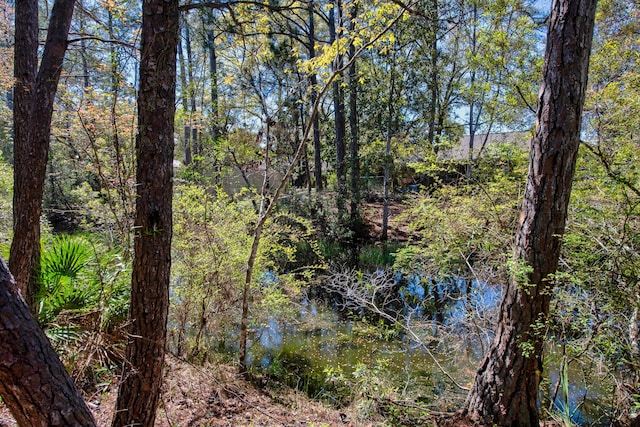 6539 Robar Tesora St, Navarre, FL 32566 - water view