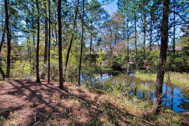 6539 Robar Tesora St, Navarre, FL 32566 - water view