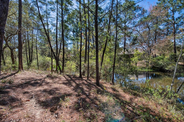 6539 Robar Tesora St, Navarre, FL 32566 - view of wooded area