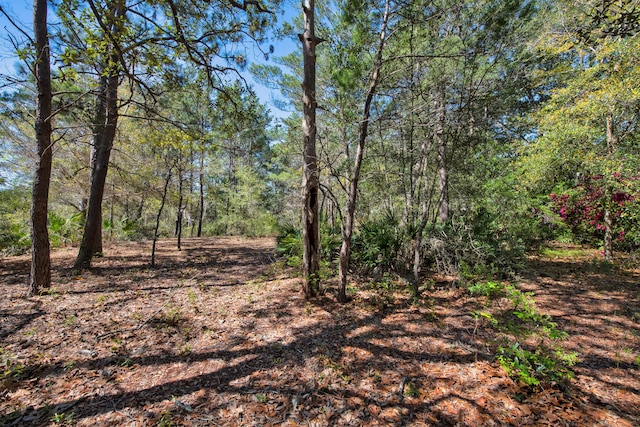 6539 Robar Tesora St, Navarre, FL 32566 - view of tree filled area
