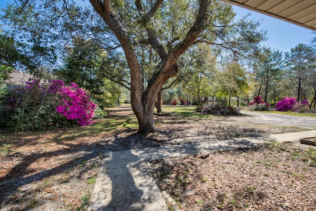 6539 Robar Tesora St, Navarre, FL 32566 - view of yard