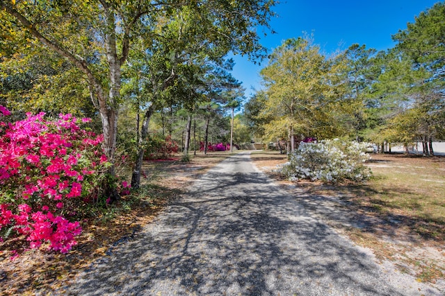 6539 Robar Tesora St, Navarre, FL 32566 - view of street