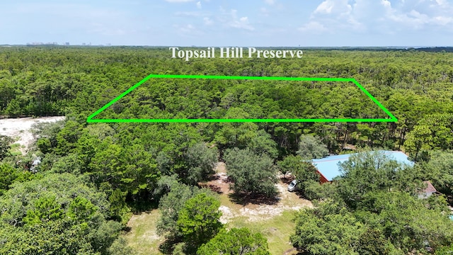 461 Don Bishop Rd, Santa Rosa Beach, FL 32459