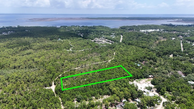 461 Don Bishop Rd, Santa Rosa Beach, FL 32459