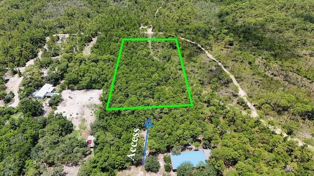461 Don Bishop Rd, Santa Rosa Beach, FL 32459