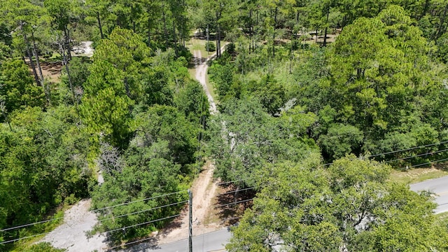461 Don Bishop Rd, Santa Rosa Beach, FL 32459