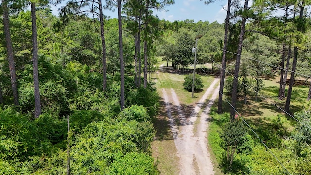 461 Don Bishop Rd, Santa Rosa Beach, FL 32459