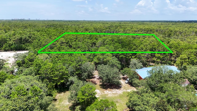 461 Don Bishop Rd, Santa Rosa Beach, FL 32459
