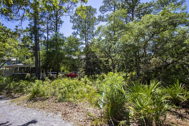 18 N Andalusia Ave, Santa Rosa Beach, FL 32459 - photo 13