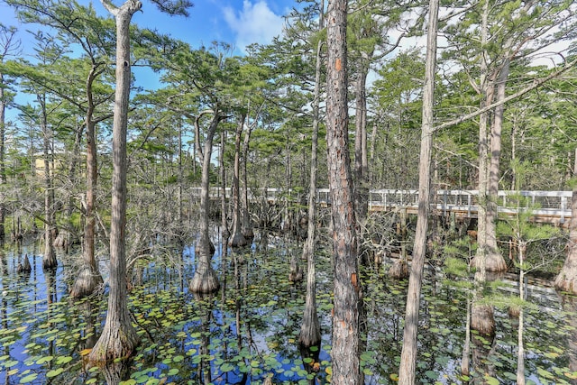 391 Cypress Dr, Santa Rosa Beach, FL 32459 - photo 81