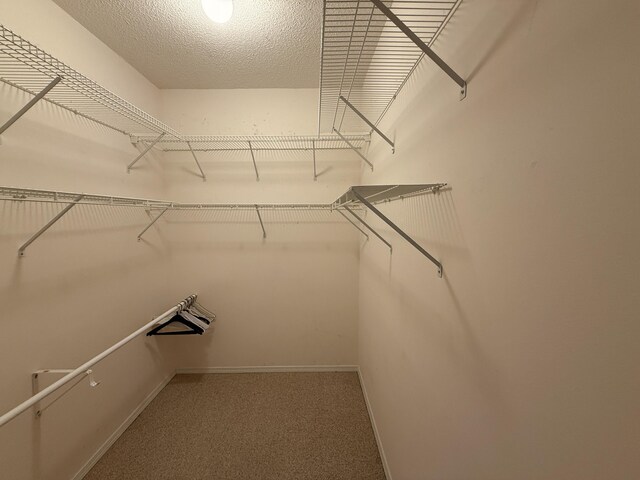 1505 Abaco Cv, Niceville, FL 32578 - photo 30