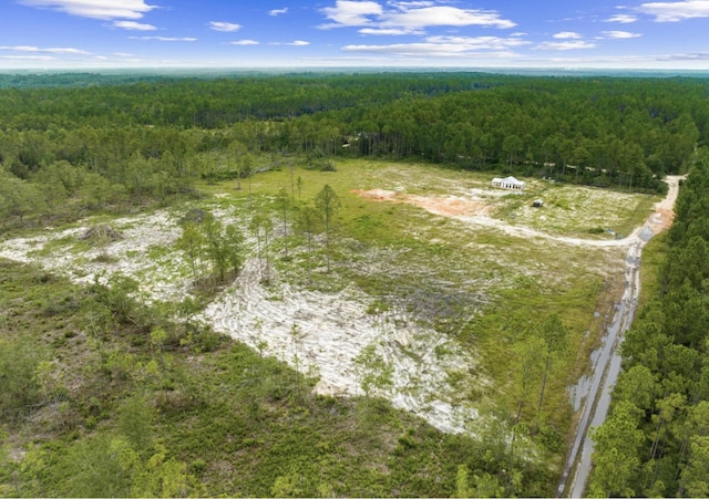 1628 Joe Dugger Rd, Freeport, FL 32439 - photo 11
