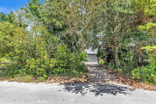 117 Walton Gulfview Dr, Inlet Beach, FL 32461 - photo 36