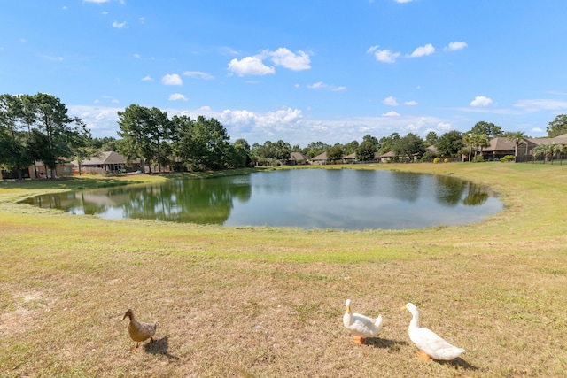 125 Whitman Way, Freeport, FL 32439 - photo 3