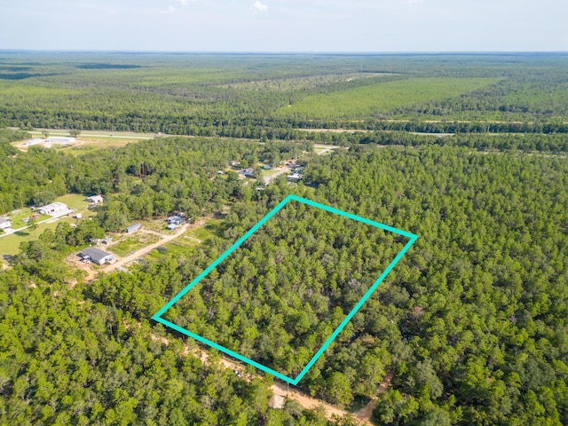 5ACRES Carol Ln, Defuniak Springs, FL 32433 - photo 2
