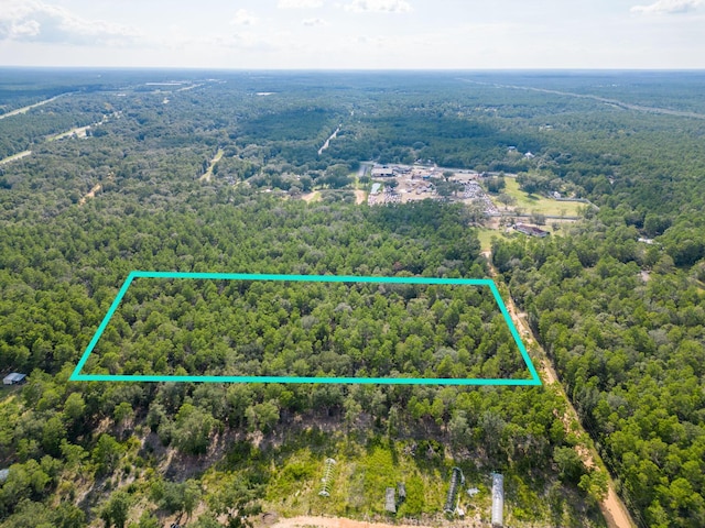 5ACRES Carol Ln, Defuniak Springs, FL 32433 - photo 3