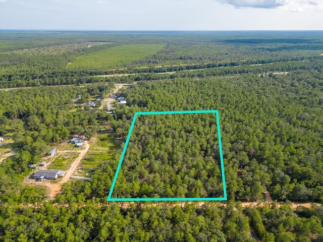 5ACRES Carol Ln, Defuniak Springs, FL 32433 - photo 4