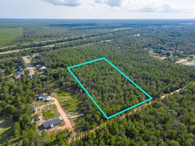 5ACRES Carol Ln, Defuniak Springs, FL 32433 - photo 5
